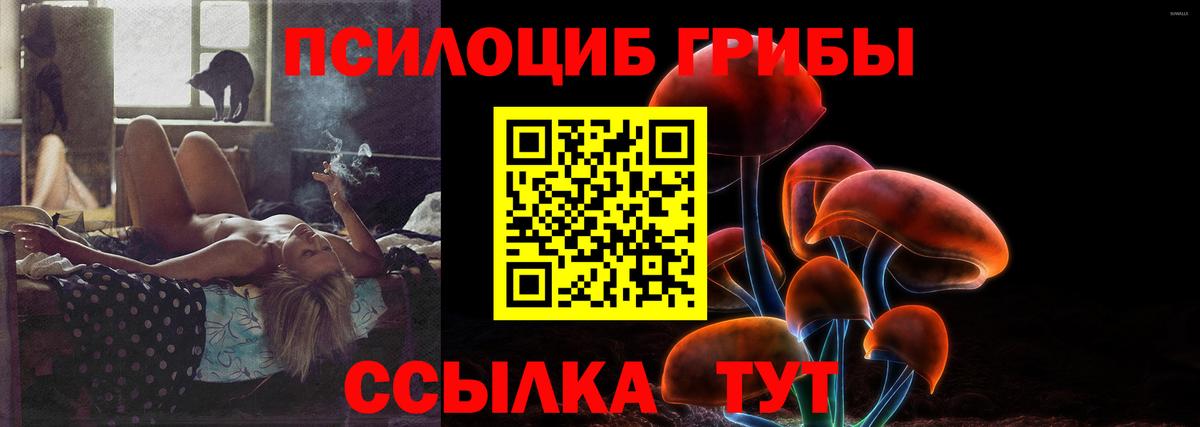 Дзержинский  Псилоцибиновые грибы MAGIC MUSHROOMS  Галлюциногенные грибы MAGIC MUSHROOMS  Вход с VPN 